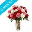 Send Carnation Flowers to India