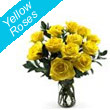 Yellow Roses in India