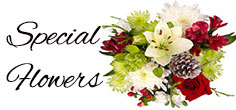 Flowers to Mathura