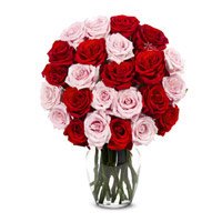 Online Flower Delivery in India : Red Pink Roses India
