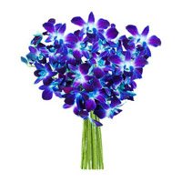 Send Bhai Dooj Flower Bouquet of 12 Blue orchids