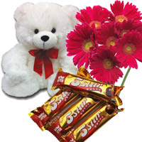 combination of 5 star chocolate, 6 inch teddy and 6 red gerbera gift for Bhai Dooj