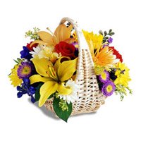Send Flowers to Amravati