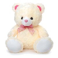 9 Inch Valentine's Day Teddy Bear - Soft Toys to India