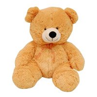 20 Inch Valentine's Day Teddy Bear - Soft Toys