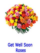 Get Well Soon Rose to India