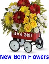 New Born Flowers to india