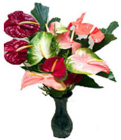 Valentine Flowers to India