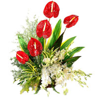 Flowers to India