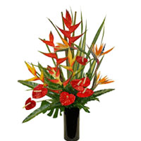 Send Flowers to India