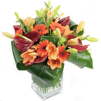 Send Flowers to India