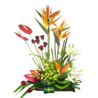 Flowers to India