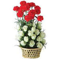 Send Flowers to India : Valentines Day Flowers to India