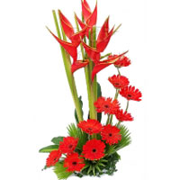 Send Flowers to India
