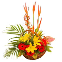 Flowers to India