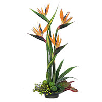 Flowers to India : Send Flowers to India