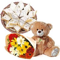 Gifts to India