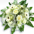 Send Flowers to India