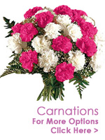 Send Flowers to India : Carnations to India