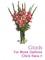 Send Flowers to India : Glads to India