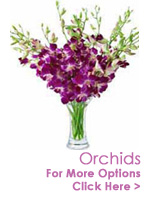 Flowers to India : Orchids to India