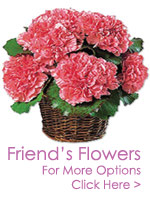 Flowers to India
