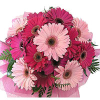 Flowers to India : Send Flowers to India