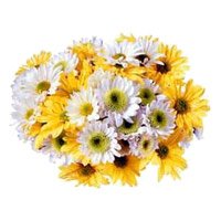 Flowers to India : Wish Get Well Soon