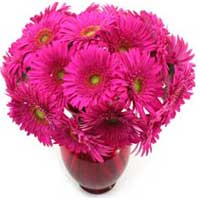 Flowers to India