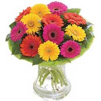 Send Flowers to India