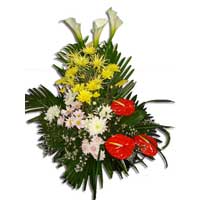 Send Flowers to India