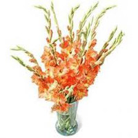 Flowers to India