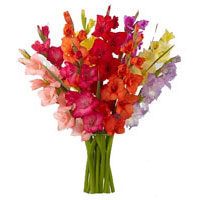 Flowers to India: Diwali Gifts to India