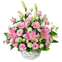 Flowers to India