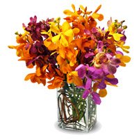 Send Flowers to India