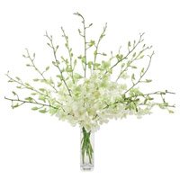 Send Flowers to India