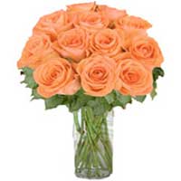 Send Flowers to India