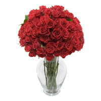 Send Flowers to India ; Holi Flowers to India