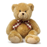 Send Gifts to India : Gifts to India : Teddy Bears to India