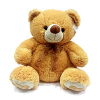 Send Gifts to India : Gifts to India : Teddy Bears to India