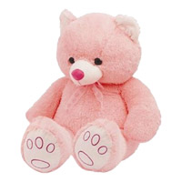 Gifts to India : Send Gifts to India : Teddy Bears to India