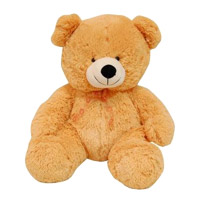 Gifts to India : Send Gifts to India : Teddy Bears to India