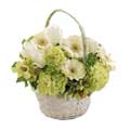 Flowers to India : Send Flowers to India