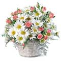 Flowers to India : Send Flowers to India