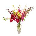 Flowers to India : Send Flowers to India