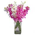 Flowers to India : Send Flowers to India