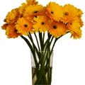 Flowers to India : Send Flowers to India