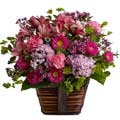 Flowers to India : Send Flowers to India