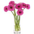 Flowers to India : Send Flowers to India