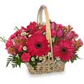 Flowers to India : Send Flowers to India